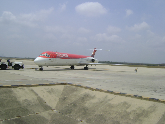 DSC01215.JPG