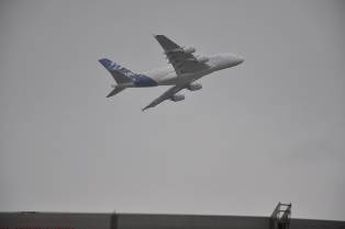 Baby is flying.jpg