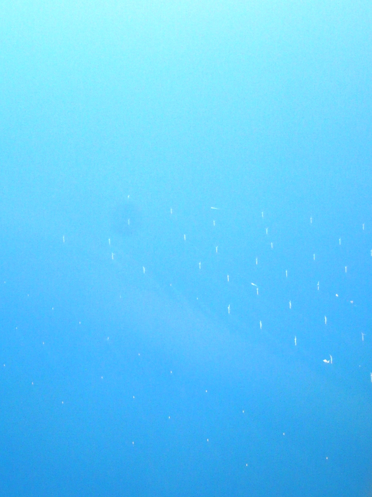 No es sólo mar... si la acercan verán una &quot;granja&quot; de molinos de viento para generar energía. Fantástico simplemente.
