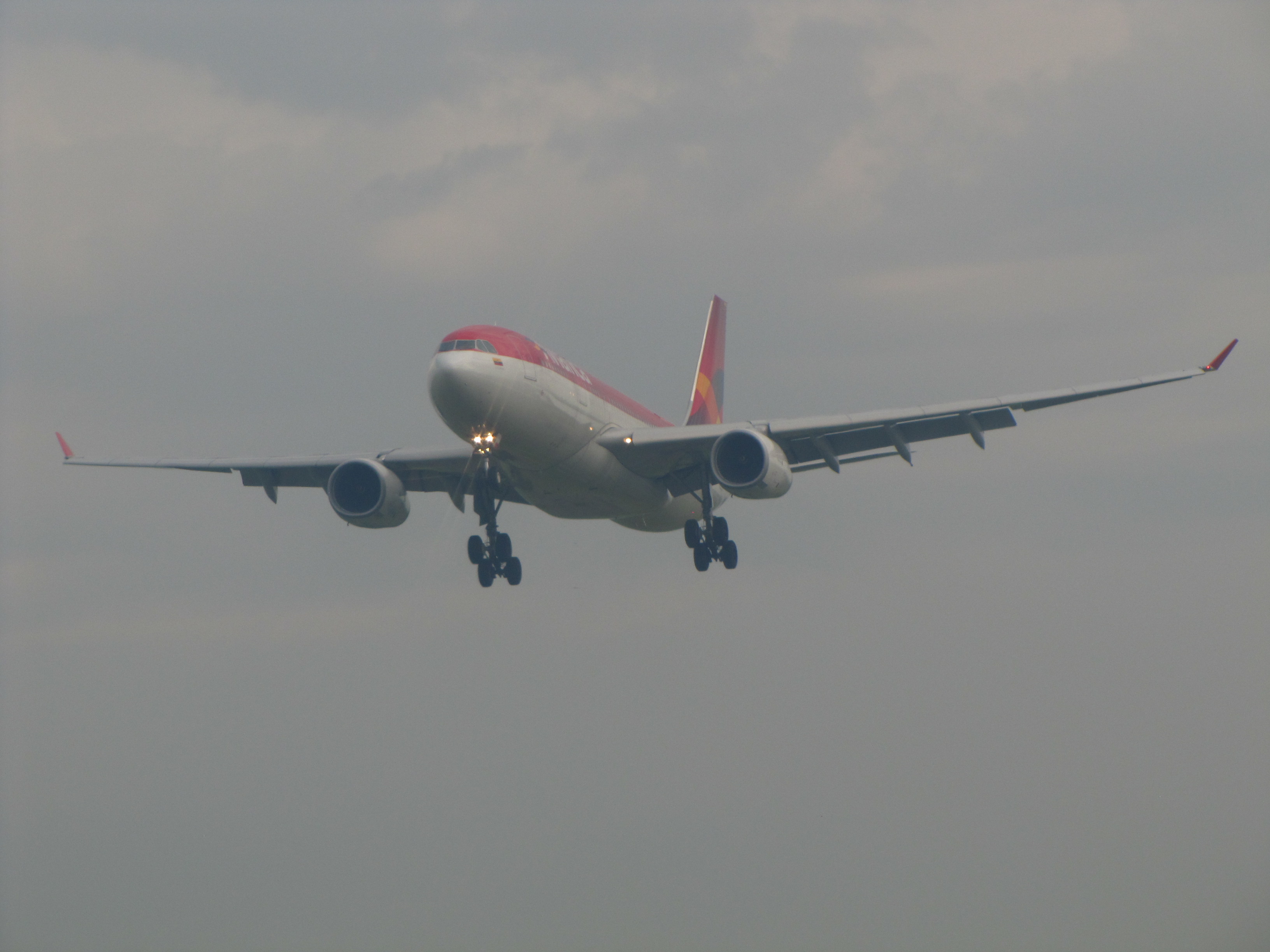 DEBIDO A ESTE SENOR, EL DESPEGUE SE RETRASO APROX 5 MINUTOS MAS.