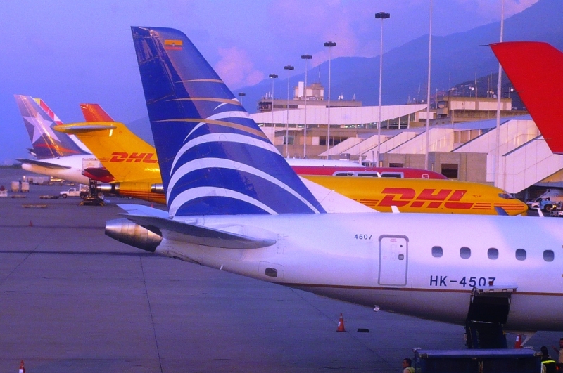 P1060372 - copia.JPG