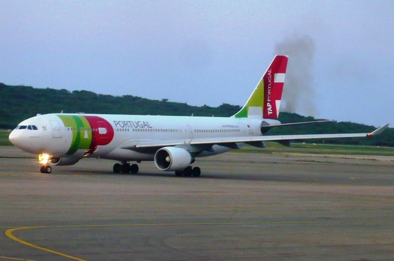 P1060376 - copia.JPG