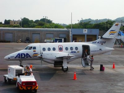 P1060453.JPG