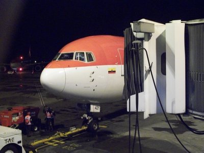 El boeing 767 asignado para el vuelo a Lima. Por fallas mecanicas fue cambiado.