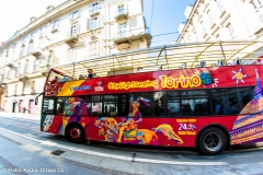 Torino - Vacaciones Cortas en Turín