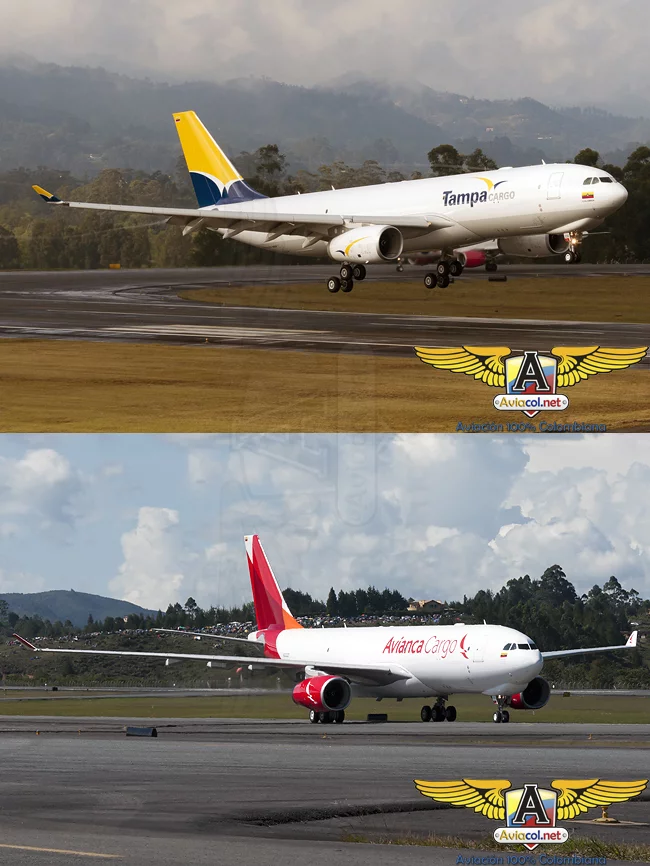 Airbus A330-200F en colores de Tampa Cargo y Avianca Cargo.