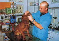 Guía del Pasajero - Aviacol.net - Aerocivil