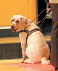 Guía del Pasajero - Aviacol.net - Aerocivil