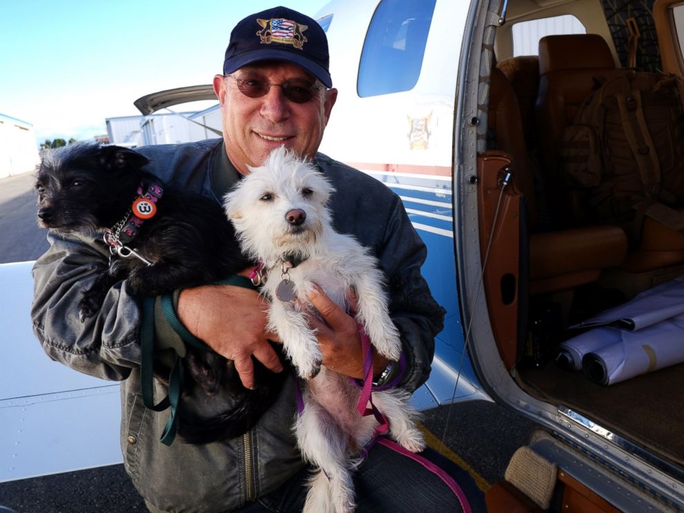 Pilotos voluntarios trasladan a mascotas y evitan que sean sacrificadas | Aviacol.net El Portal de la Aviación