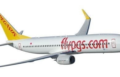 Boeing 737 en colores de Pegasus Airline
