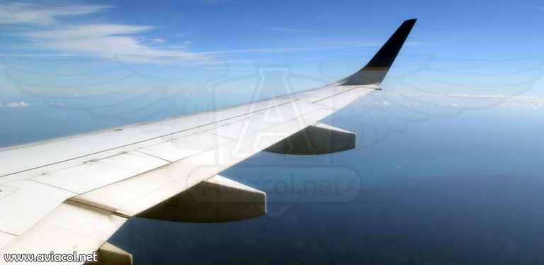 Avión en vuelo