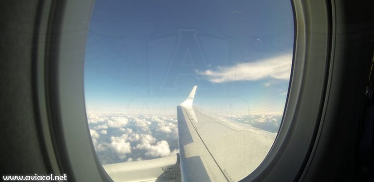 Avión en vuelo