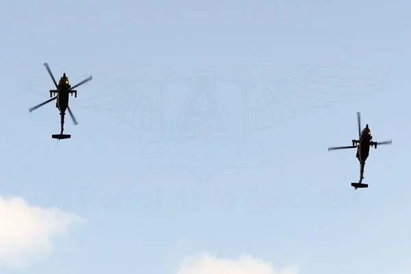 Show de los Black Hawk Arp&iacute;a de la Fuerza A&eacute;rea Colombiana en F-AIR 2017.