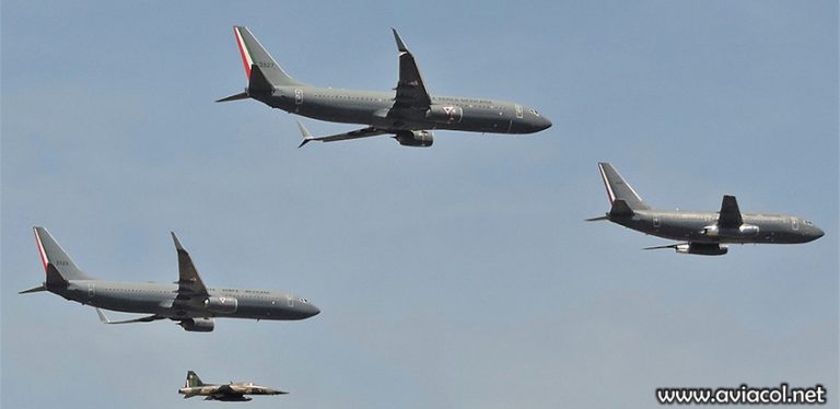 Show aéreo en FAMEX 2019.