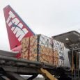 Osos transportados en el Boeing 767 de LATAM Airlines.