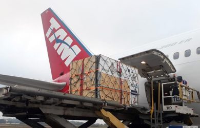 Osos transportados en el Boeing 767 de LATAM Airlines.