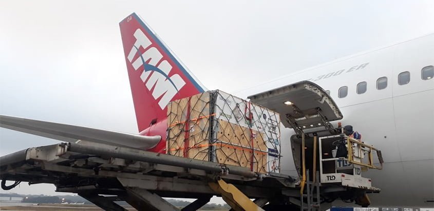 Osos transportados en el Boeing 767 de LATAM Airlines.