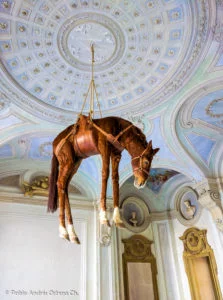 Mauricio Cattelan - Caballo - Museo Castillo Rivoli