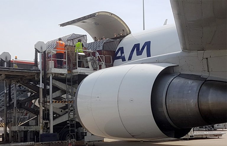 Transporte de caballos de LATAM Cargo.