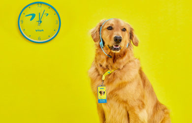 Waffles, la mascota de Viva Air.