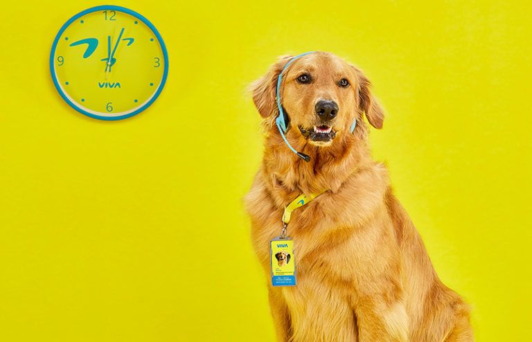 Waffles, la mascota de Viva Air.