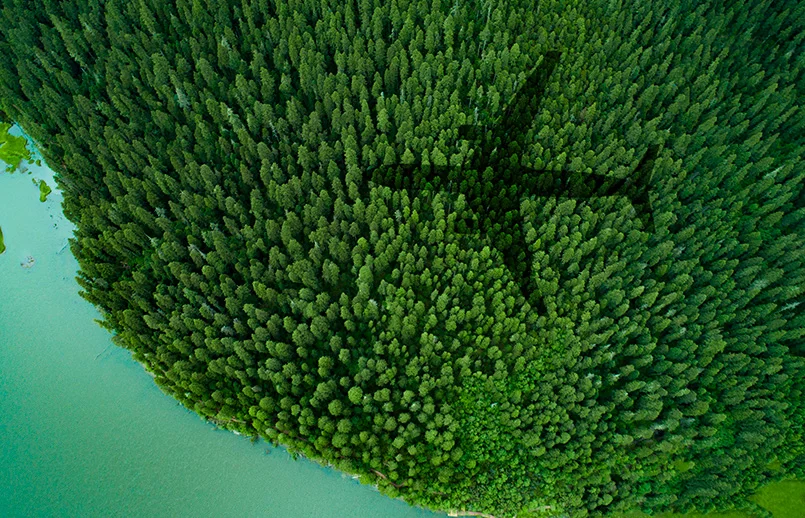 Programa para la reducción de emisiones de American Airlines.