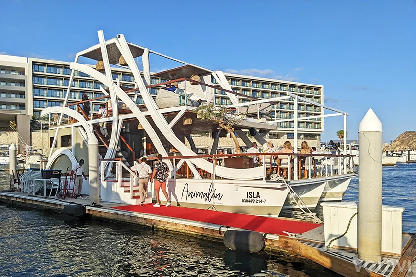 Animalón by the seas, en la Marina de Cabo San Lucas.