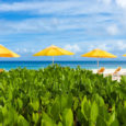 Una de las playas de Anguila rodeada por vegetación.