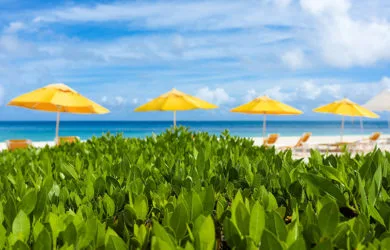 Una de las playas de Anguila rodeada por vegetación.