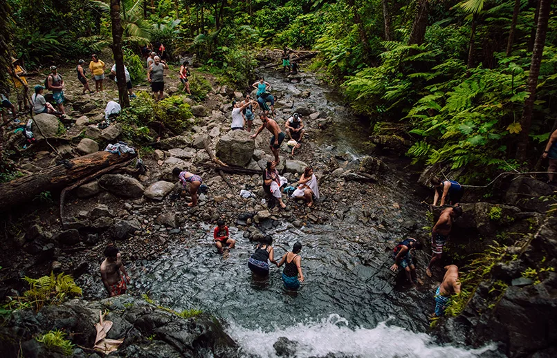 Bosque nacional El Yunque - Créditos: Discover Puerto Rico. Bosque nacional El Yunque - Créditos: Discover Puerto Rico.