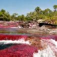 Vista de Caño Cristales. Foto: Álvaro Gaviria Gallo para Parques Nacionales Naturales de Colombia.