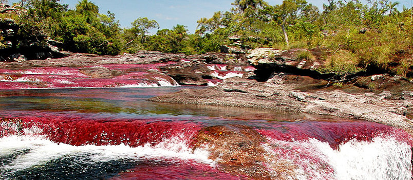 Vista de Caño Cristales. Foto: Álvaro Gaviria Gallo para Parques Nacionales Naturales de Colombia.