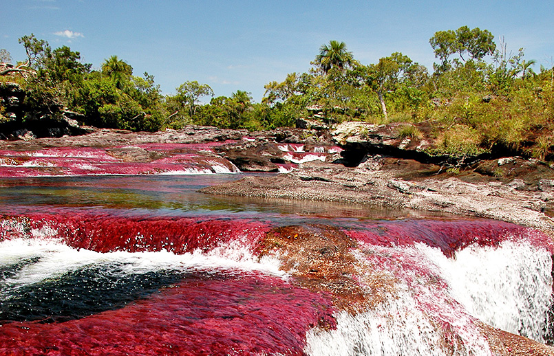 Vista de Caño Cristales. Foto: Álvaro Gaviria Gallo para Parques Nacionales Naturales de Colombia. Vista de Caño Cristales. Foto: Álvaro Gaviria Gallo para Parques Nacionales Naturales de Colombia.
