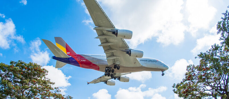 Asiana Airlines dejará Star Alliance: qué cambia para los viajeros Airbus A380 de Asiana Arilines aterrizando en el Aeropuerto Internacional de Los Ángeles (LAX).