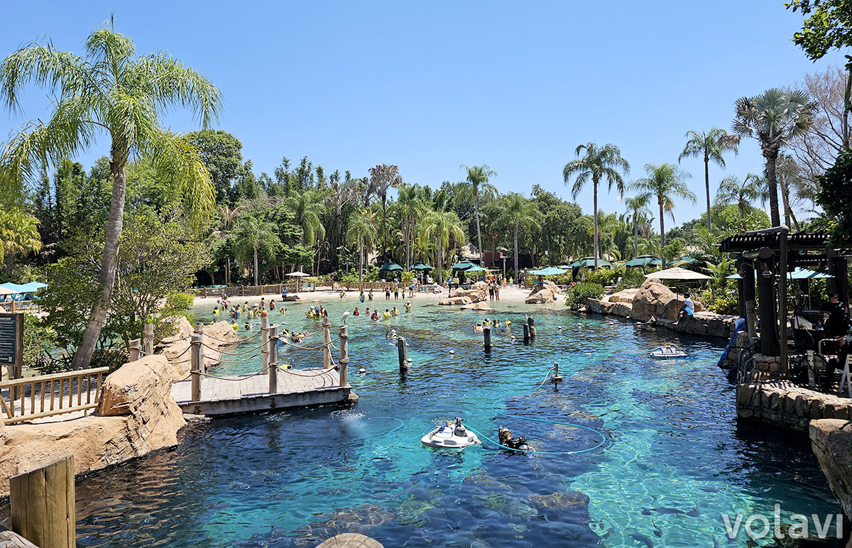 Zona de arrecife de Discovery Cove, donde se puede practicar buceo con rayas y otras especies. Zona de arrecife de Discovery Cove, donde se puede practicar buceo con rayas y otras especies.
