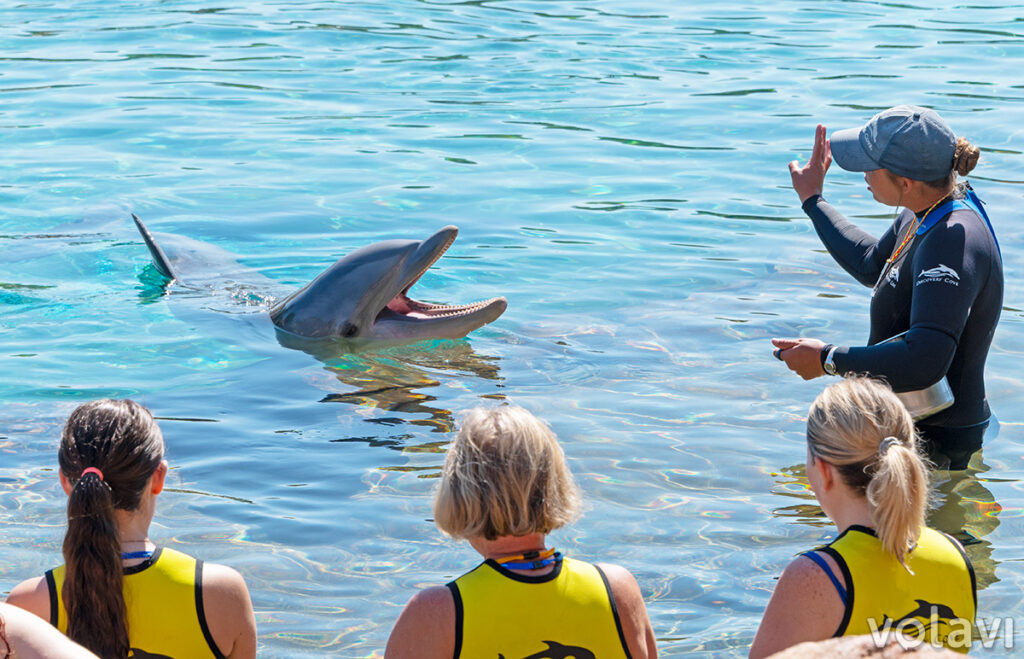 Así es Discovery Cove, el parque todo incluido más especial de Orlando