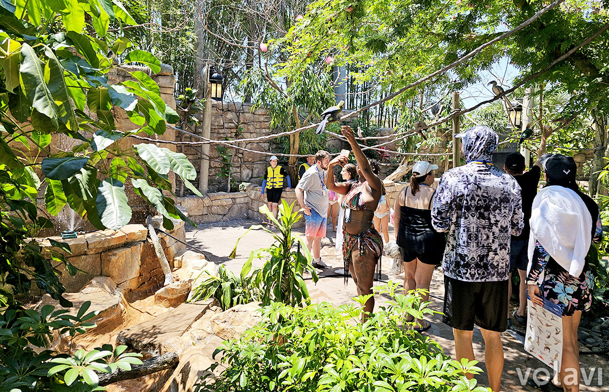 Vista al interior del "Explorer's Aviary" en Discovery Cove. Vista al interior del "Explorer's Aviary" en Discovery Cove.