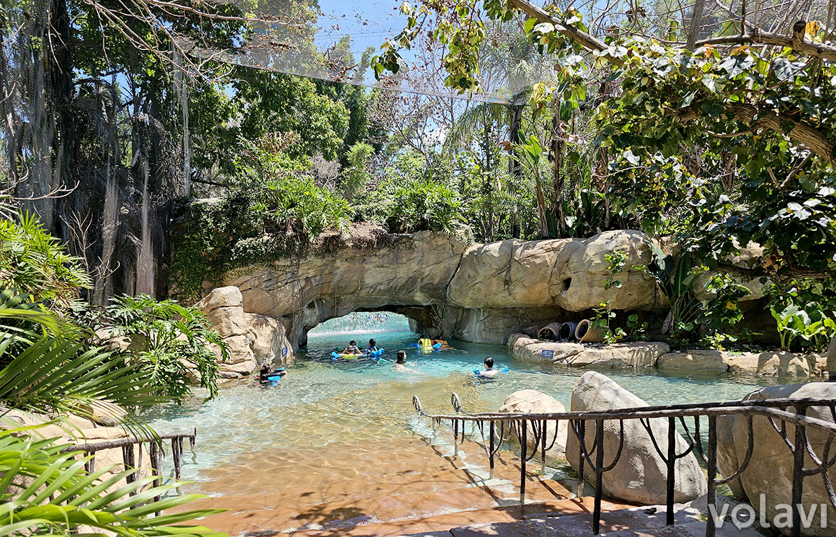 "Freshwater Oasis", el lugar donde se puede ver la actividad de las nutrias y los monos tamarinos cabeza blanca en Discovery Cove. "Freshwater Oasis", el lugar donde se puede ver la actividad de las nutrias y los monos tamarinos cabeza blanca en Discovery Cove.