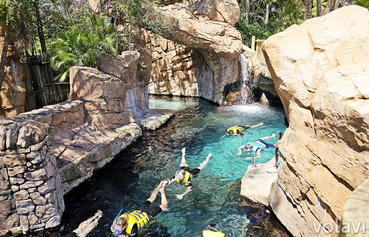 Práctica de esnórquel en una de las vías acuáticas de Discovery Cove. Práctica de esnórquel en una de las vías acuáticas de Discovery Cove.