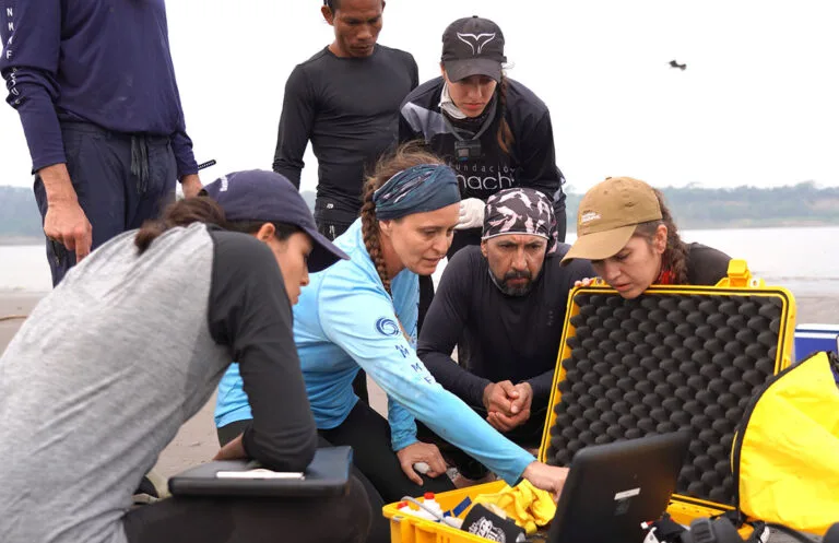 Alianza entre Avianca y Fundación Omacha para proyectos de conservación en Colombia.